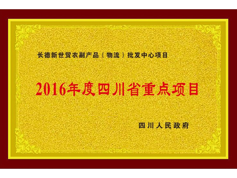 2016年度四川省重點項目 